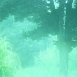 雨の降り方を表現する言葉にはこんな素敵なものも！雨の名前と種類